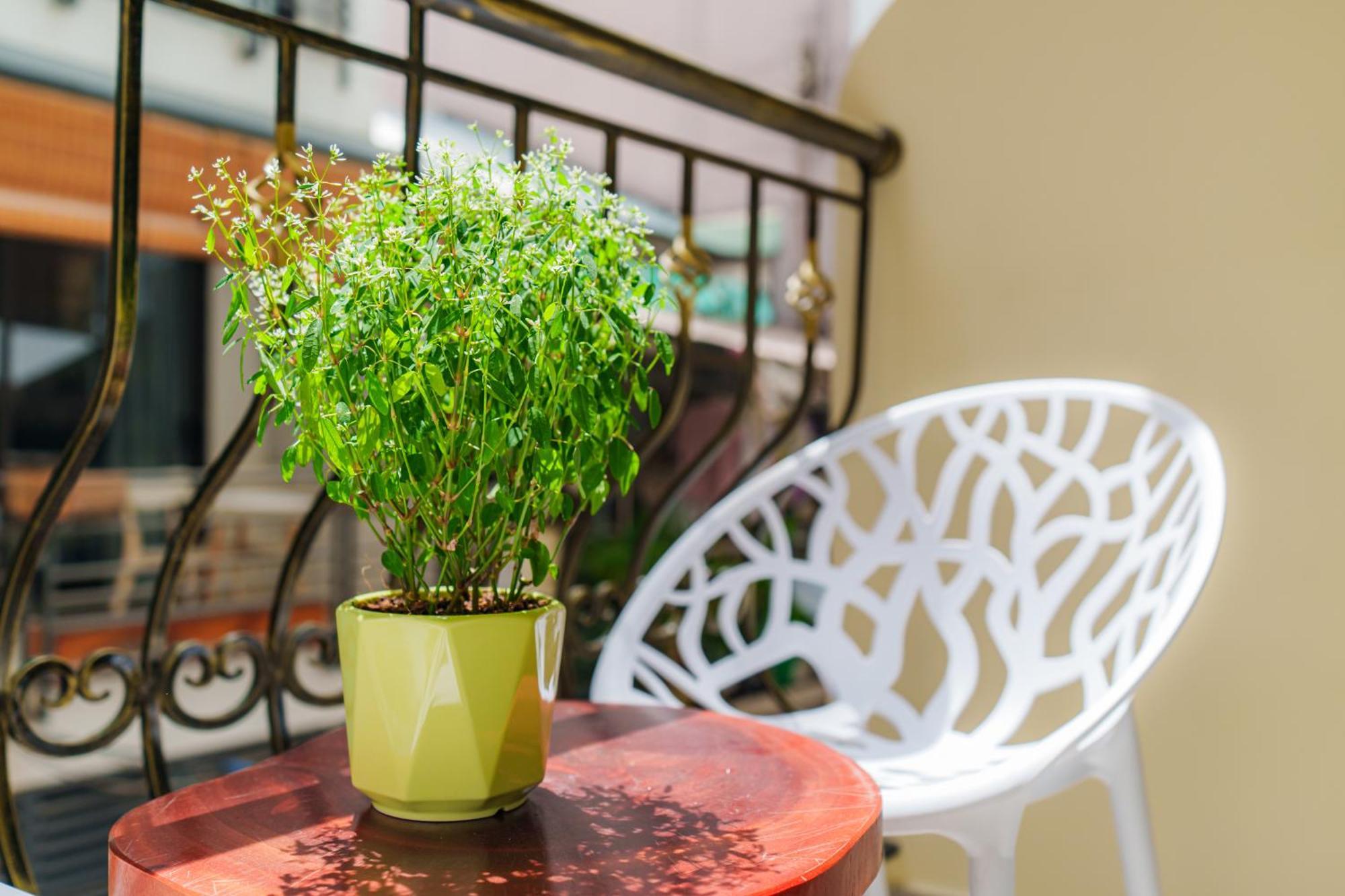 Co Chau Homestay 胡志明市 外观 照片